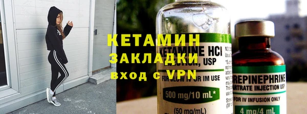 шишки Каменка