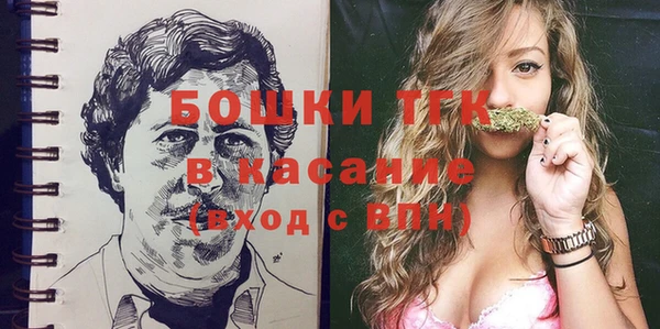 шишки Каменка