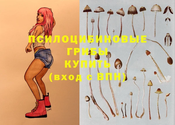 шишки Каменка
