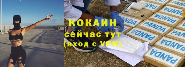 шишки Каменка