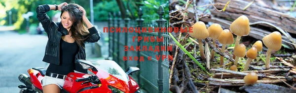 дживик Каменногорск