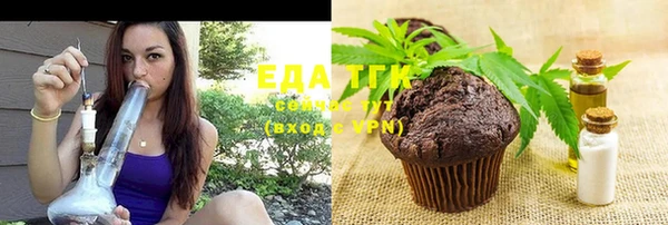шишки Каменка