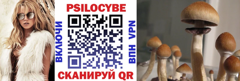 сайты даркнета Telegram  купить наркоту  Астрахань  Галлюциногенные грибы Cubensis 